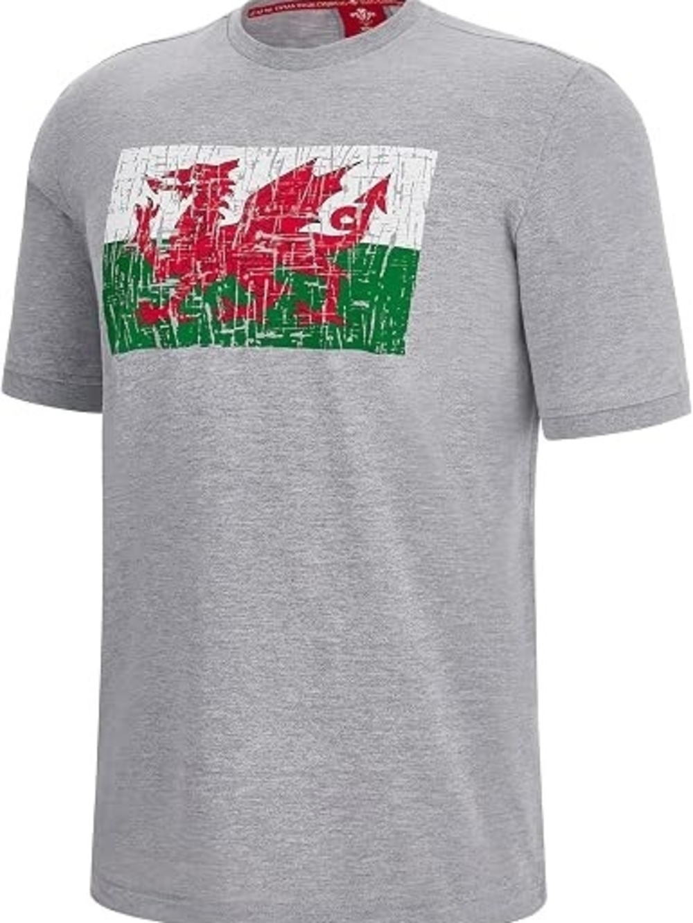 Wales Rugby XV 2020/21 T-shirt - Macron - grey